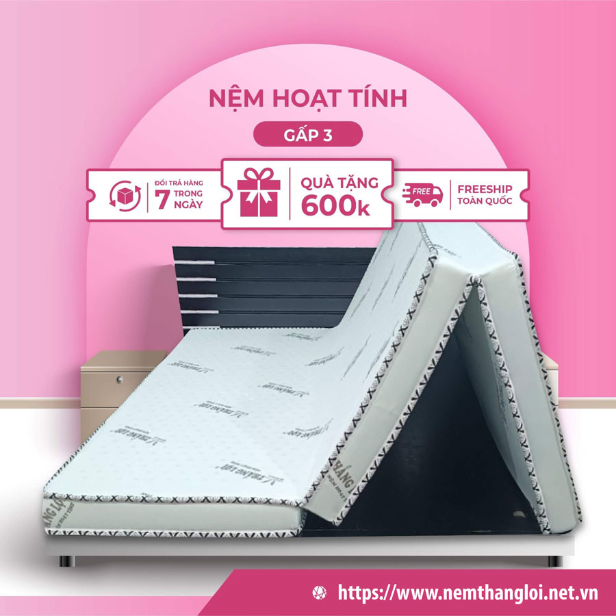 NỆM CAO SU HOẠT TÍNH THẮNG LỢI GẤP 3