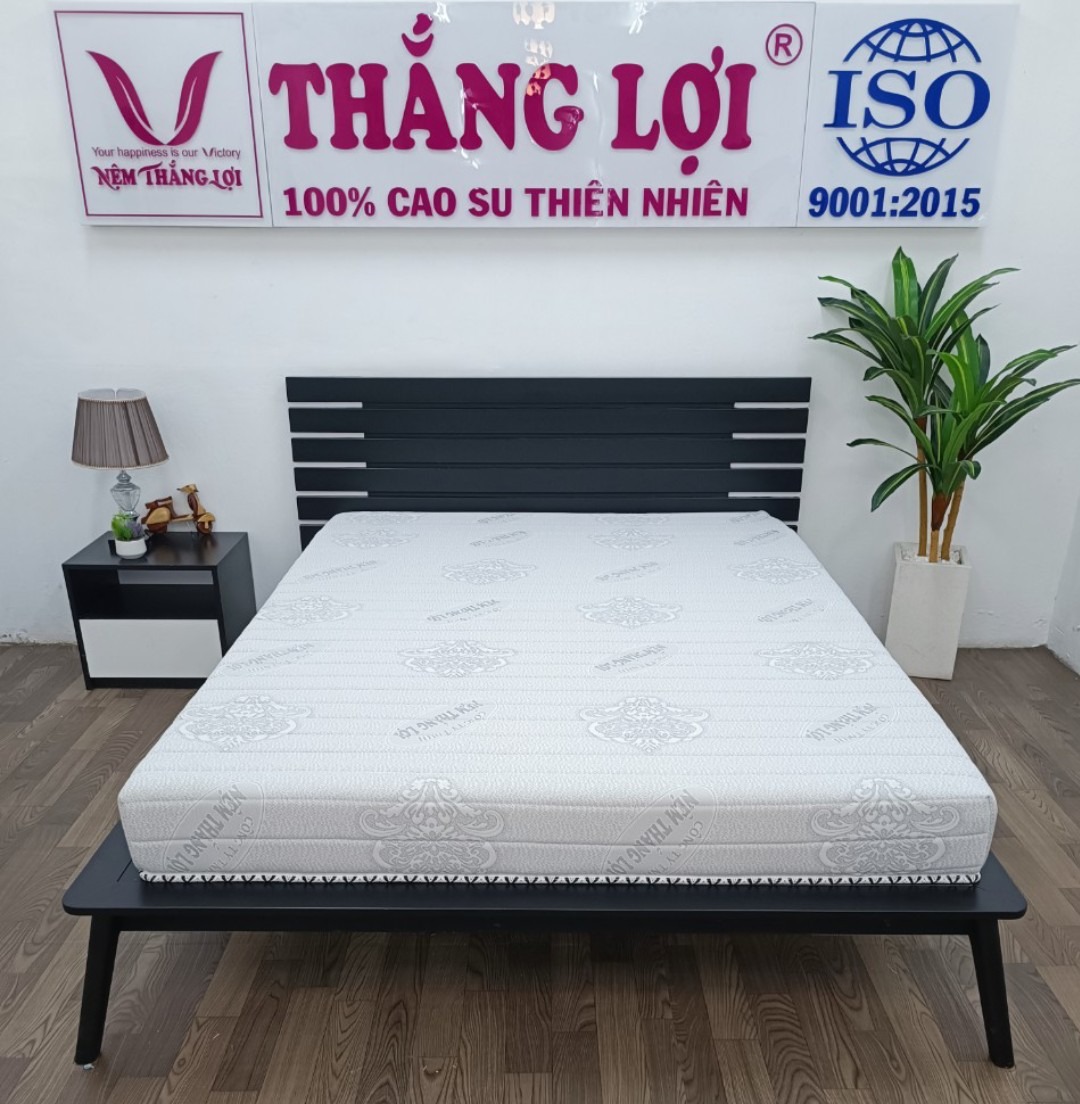 NỆM MEMORY FOAM THẮNG LỢI