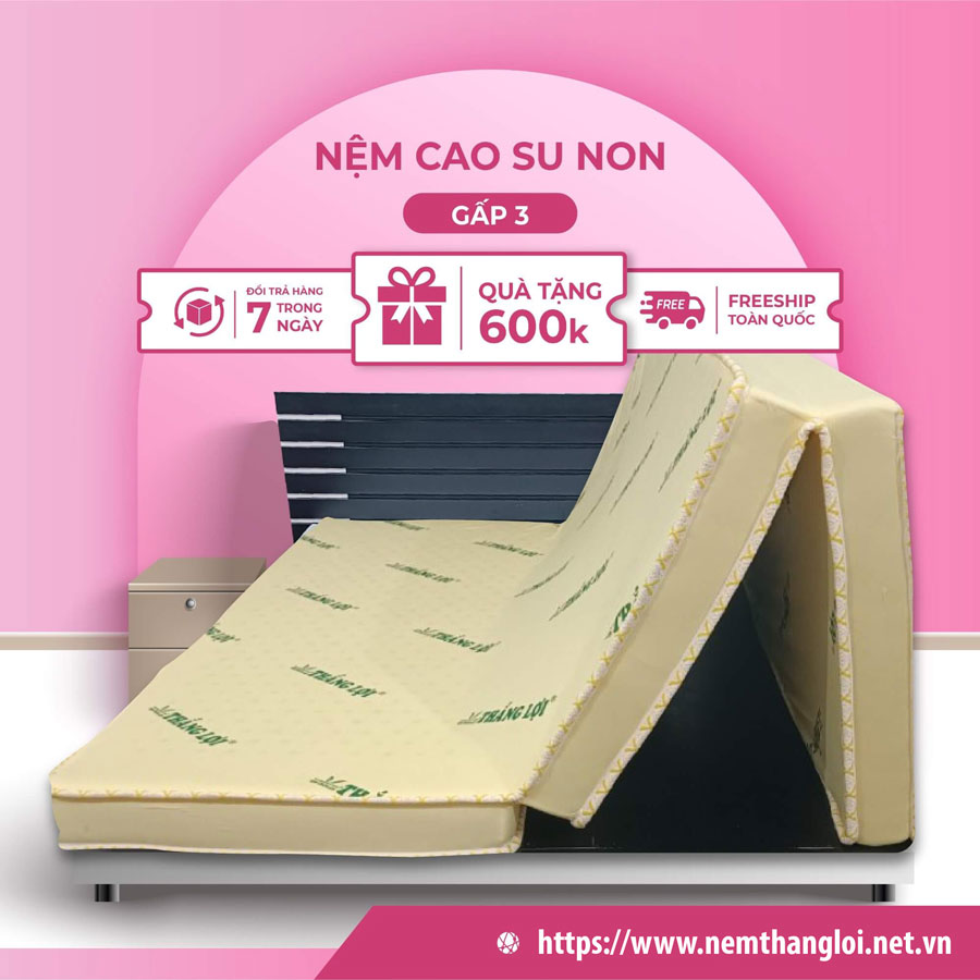 NỆM CAO SU NON THẮNG LỢI GẤP 3
